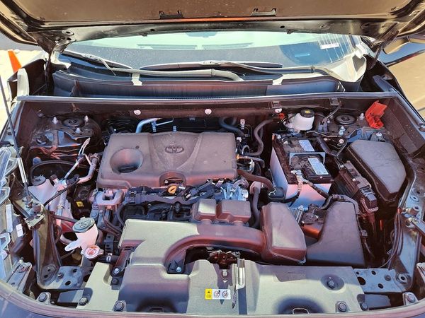 2024 TOYOTA RAV4 XLE