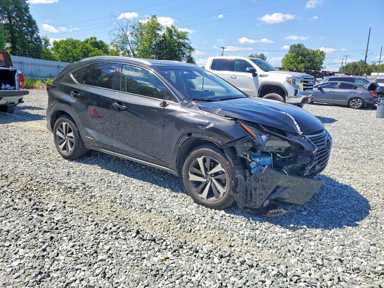 2019 LEXUS NX 300H Luxury
