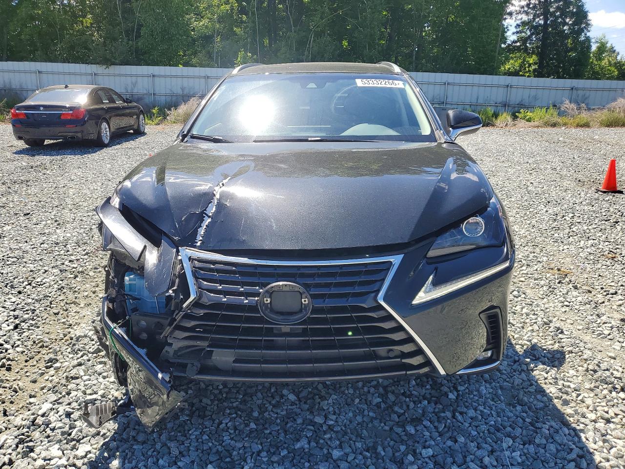 2019 LEXUS NX 300H Luxury