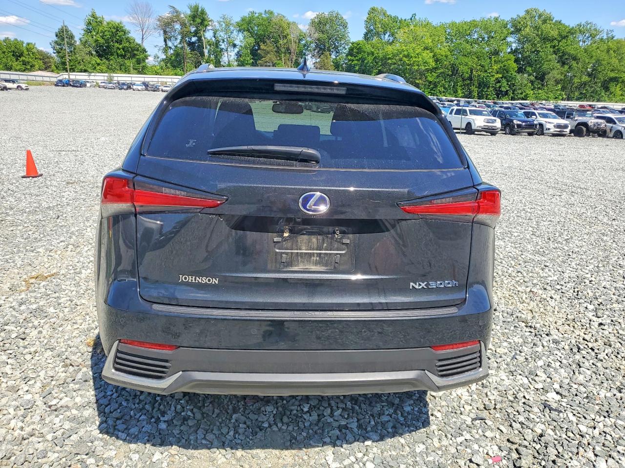 2019 LEXUS NX 300H Luxury