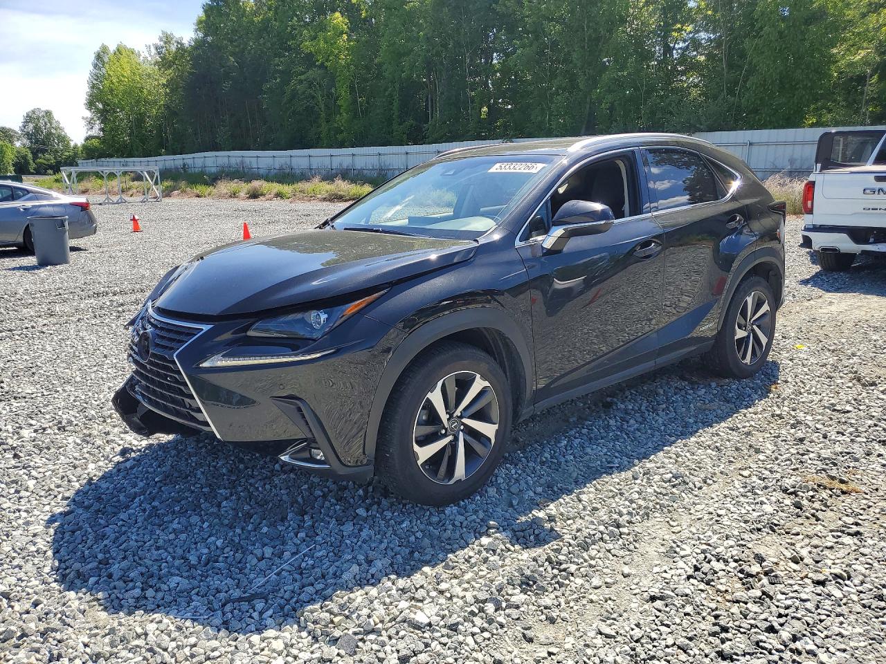2019 LEXUS NX 300H Luxury