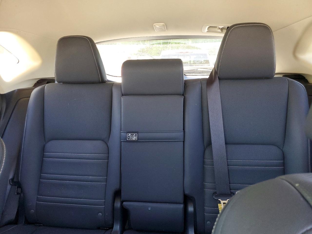 2019 LEXUS NX 300H Luxury
