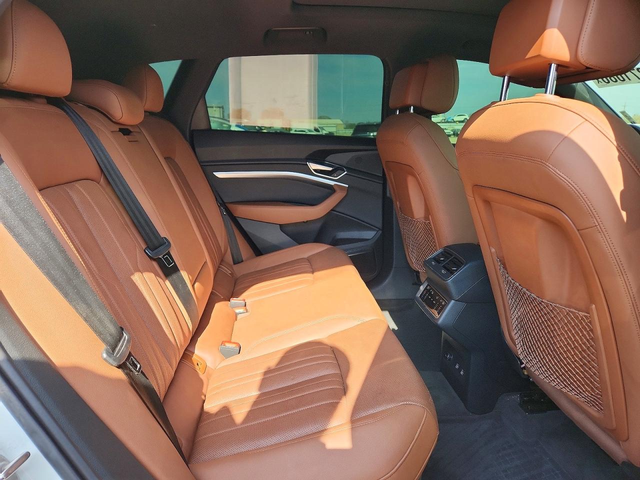 2019 AUDI E-TRON