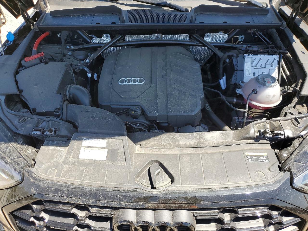 2024 AUDI Q5