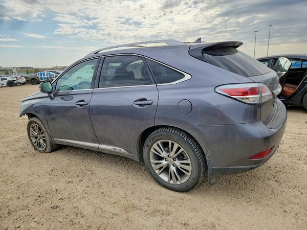 2013 LEXUS RX