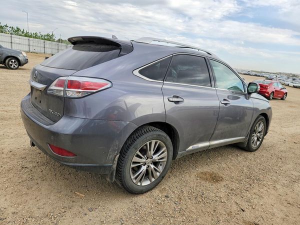 2013 LEXUS RX