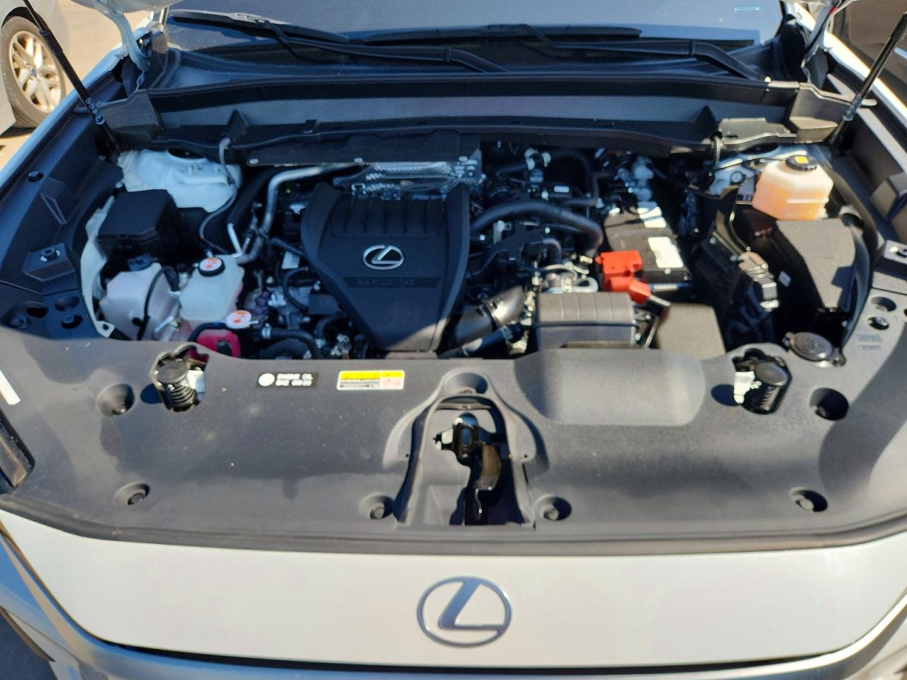 2024 LEXUS TX 350