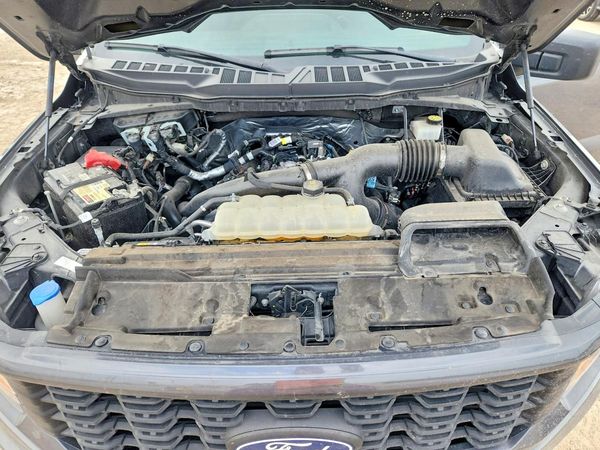 2024 FORD F150