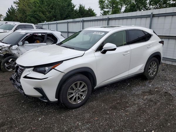 2019 LEXUS NX 300H Luxury