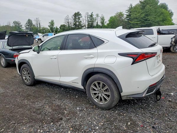 2019 LEXUS NX 300H Luxury