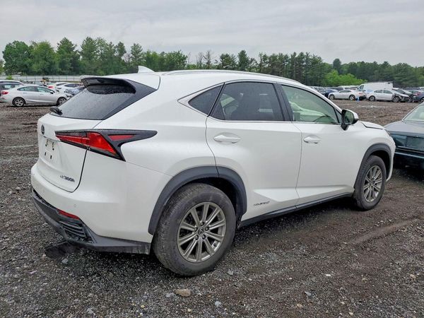 2019 LEXUS NX 300H Luxury
