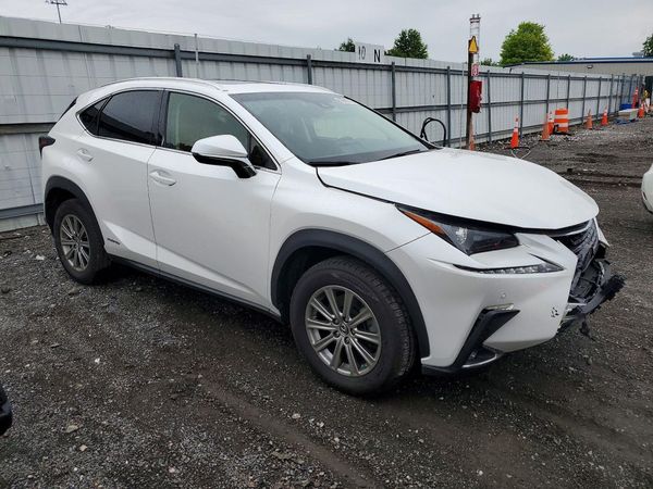 2019 LEXUS NX 300H Luxury