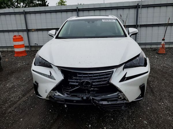 2019 LEXUS NX 300H Luxury