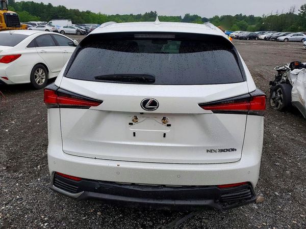 2019 LEXUS NX 300H Luxury