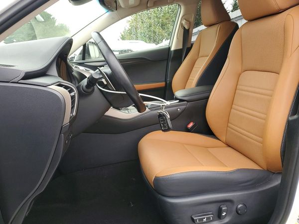 2019 LEXUS NX 300H Luxury