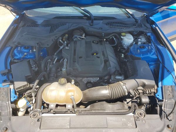 2019 FORD MUSTANG I4 Coupe