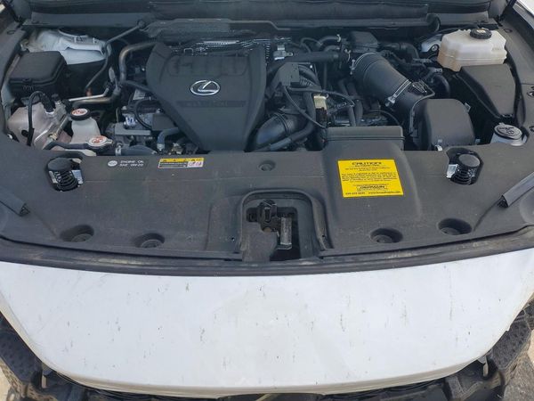 2024 LEXUS RX