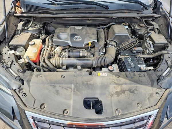 2020 LEXUS NX 300 Comfort