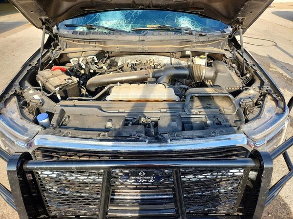 2024 FORD F150