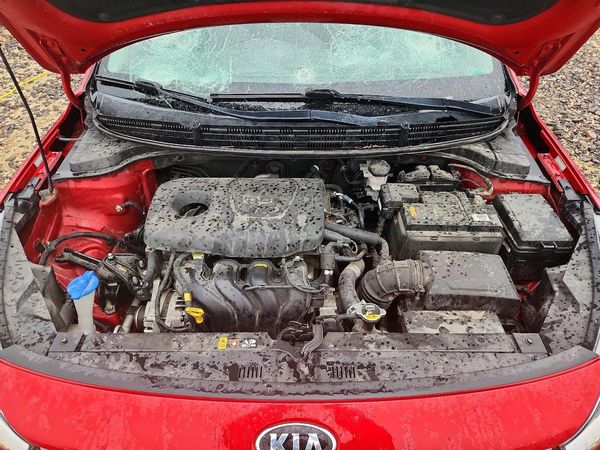 2019 KIA RIO LX, S