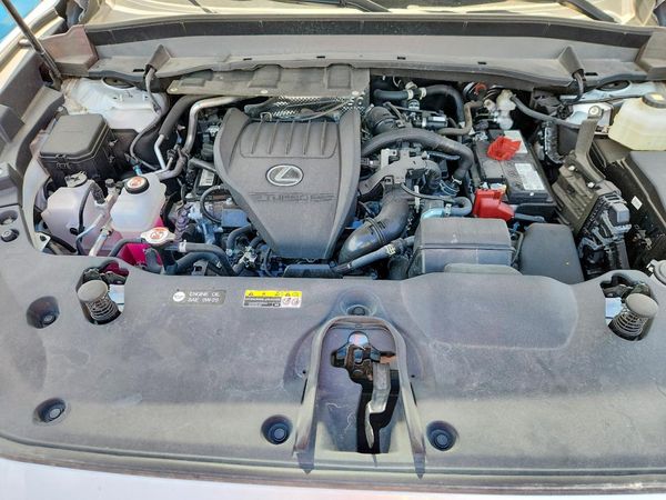 2024 LEXUS TX 350