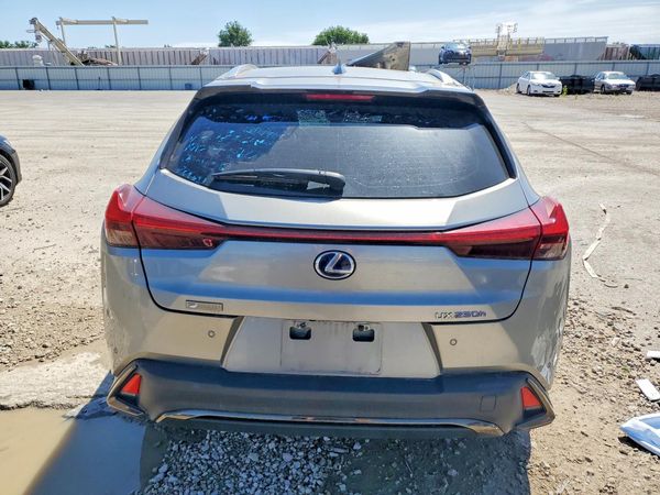 2020 LEXUS UX 250h F Sport Premium