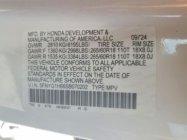 2025 HONDA PILOT TRAILSPORT