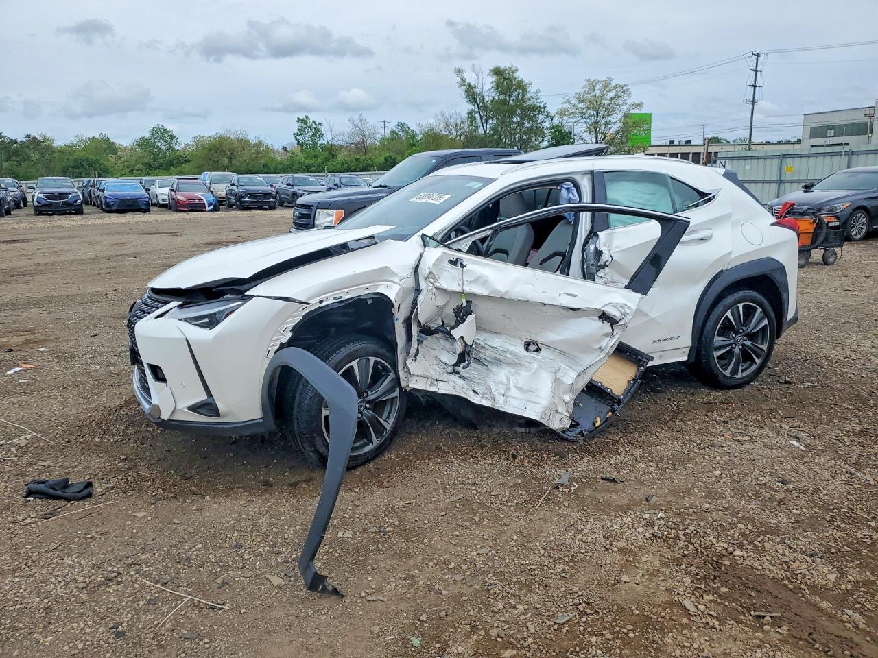 2019 LEXUS UX