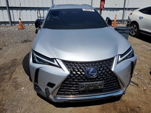 2019 LEXUS UX