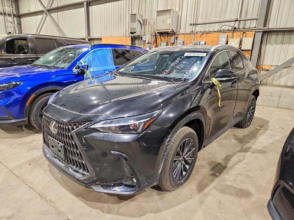 2025 LEXUS NX 350