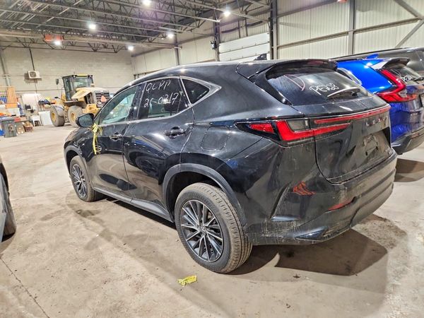 2025 LEXUS NX 350