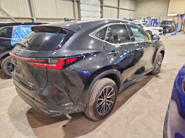 2025 LEXUS NX 350