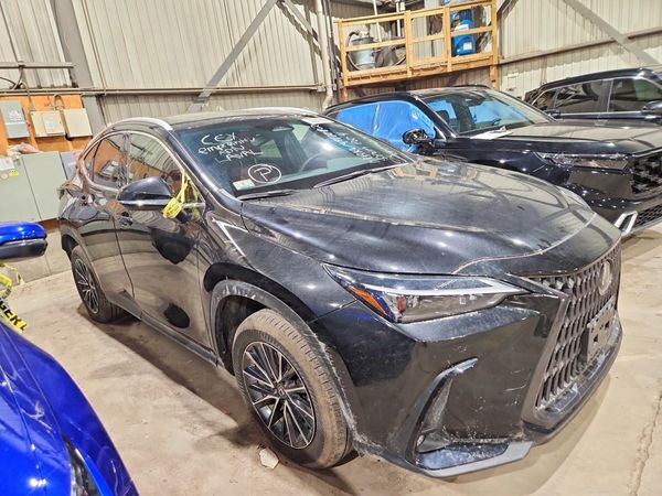 2025 LEXUS NX 350