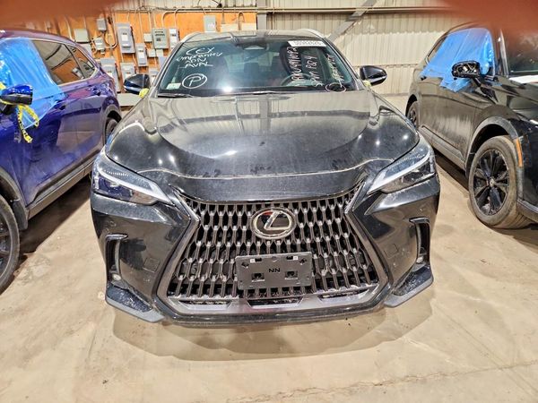 2025 LEXUS NX 350