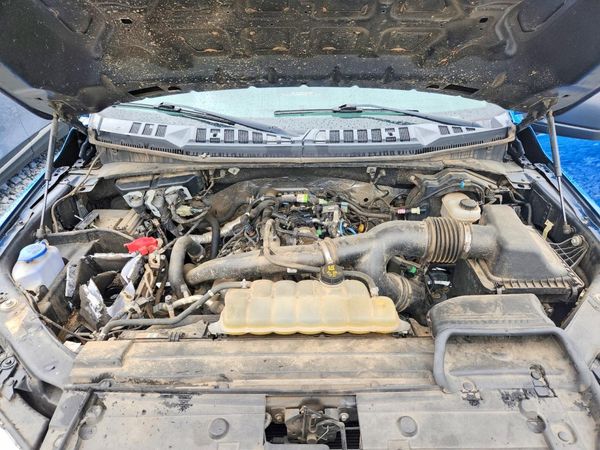 2019 FORD F150