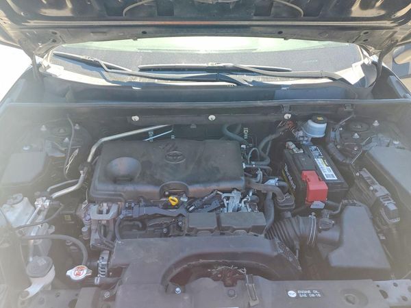 2019 TOYOTA RAV4 XLE / XLE Premium 4WD