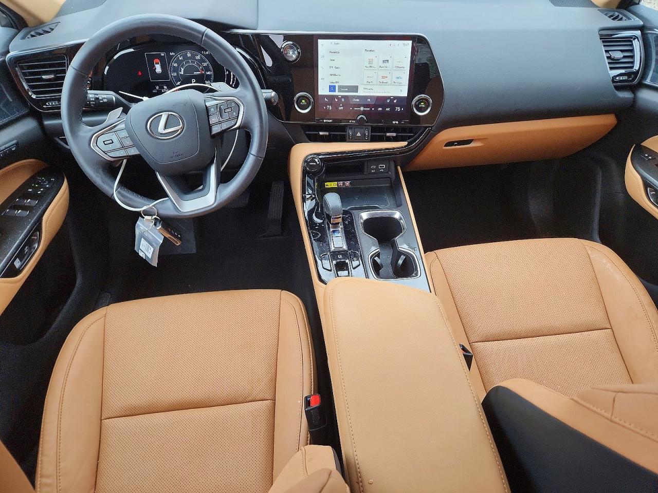 2024 LEXUS NX 350 Premium