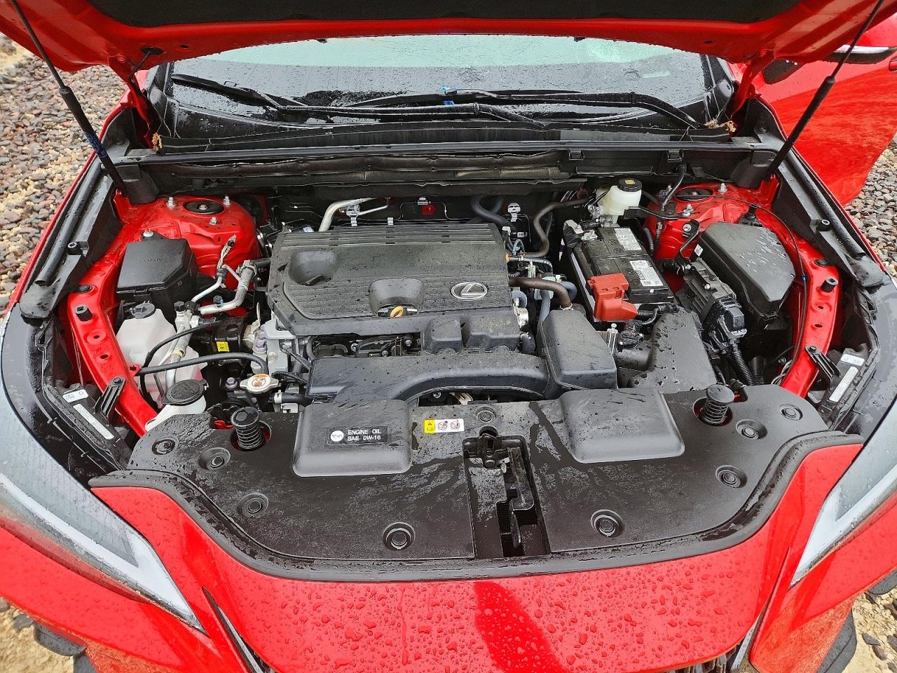 2024 LEXUS NX 350 Premium