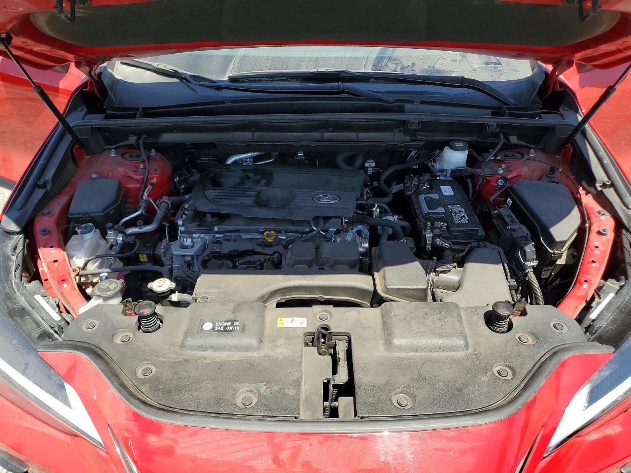 2024 LEXUS NX 250 250 Base