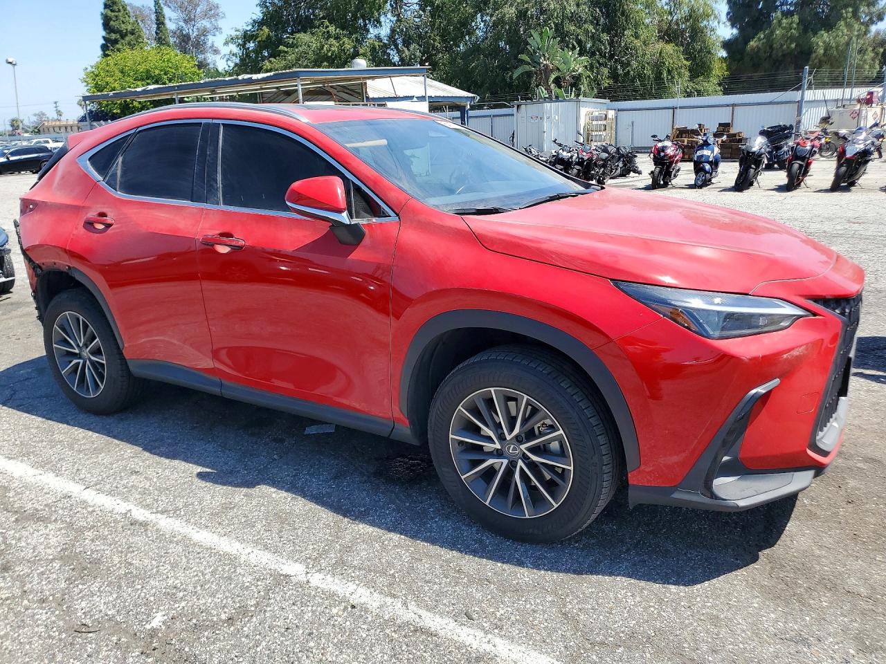 2024 LEXUS NX 250 250 Base