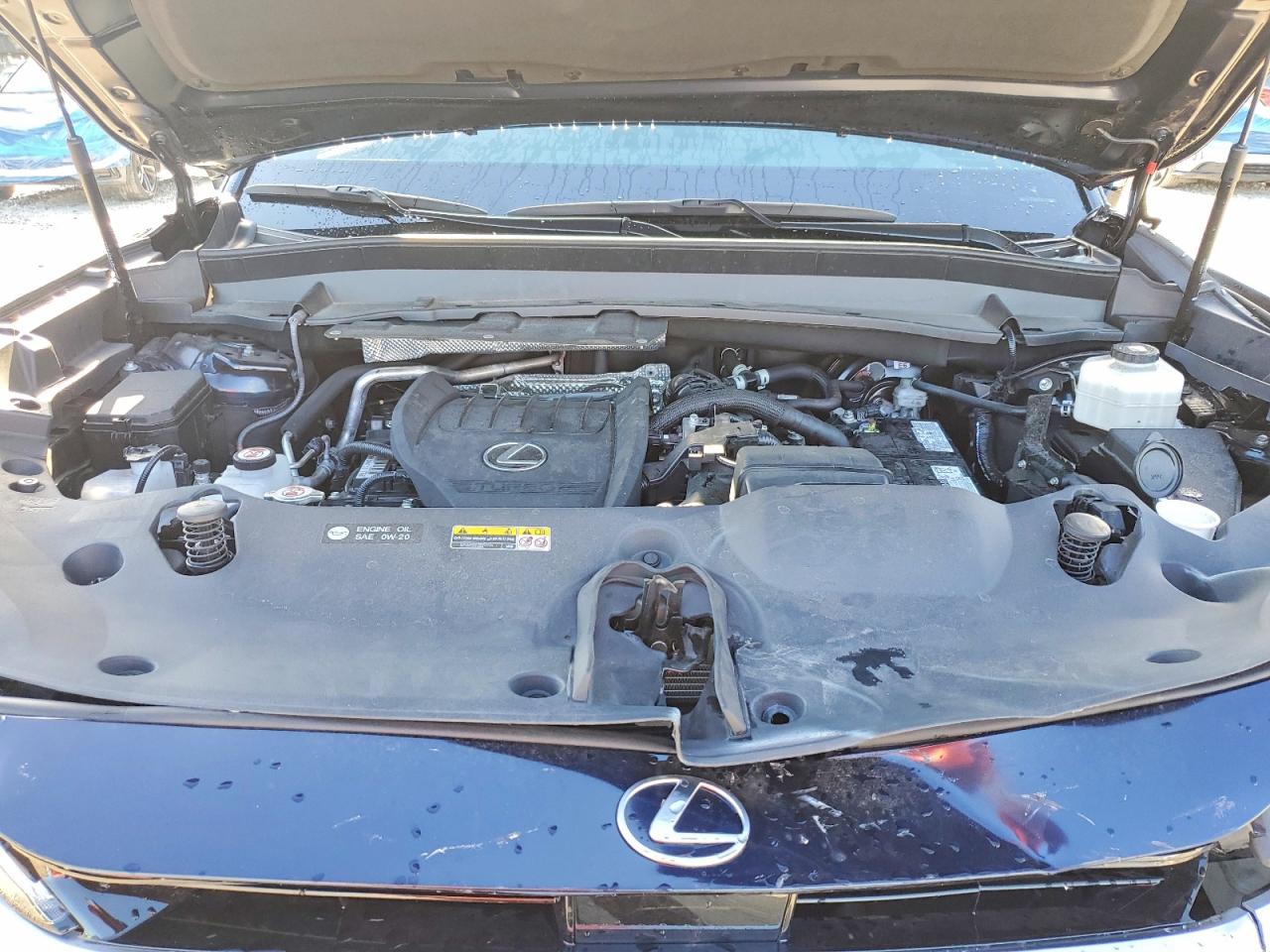 2025 LEXUS TX 350