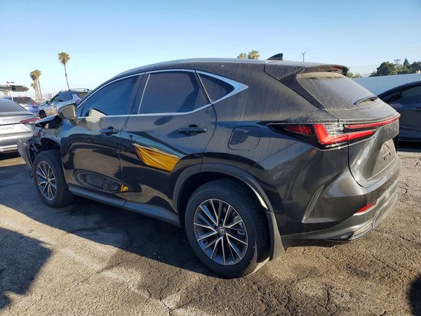 2025 LEXUS NX