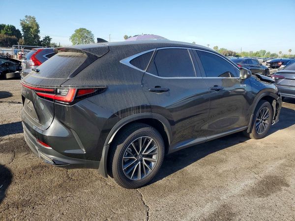 2025 LEXUS NX