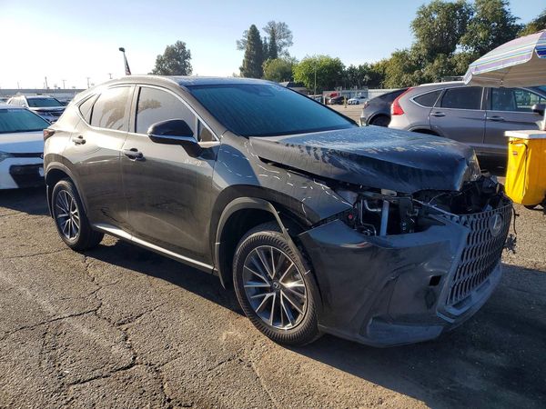 2025 LEXUS NX