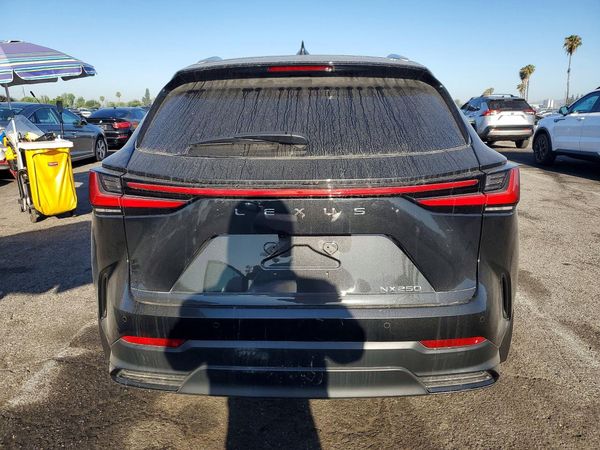 2025 LEXUS NX