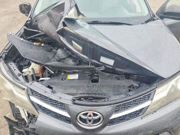 2015 TOYOTA RAV4 LE (X Grade)