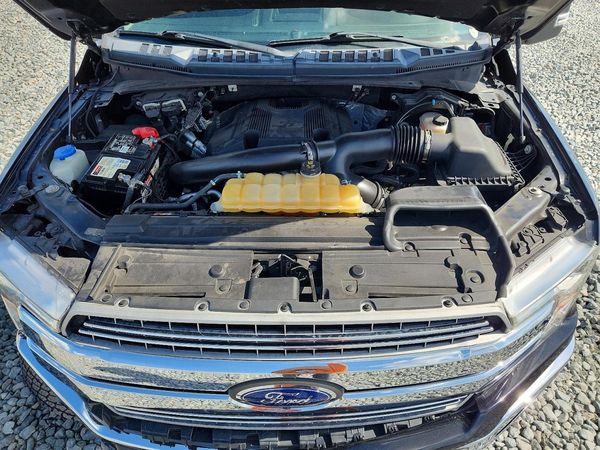 2019 FORD F150