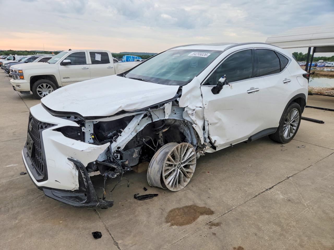 2023 LEXUS NX 350h Premium