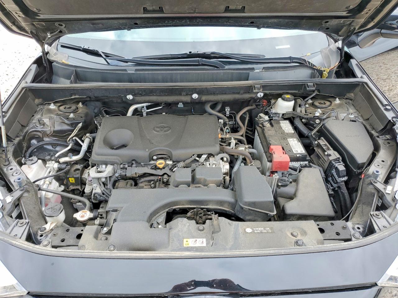 2023 TOYOTA RAV4 XLE
