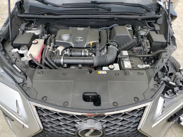2021 LEXUS NX